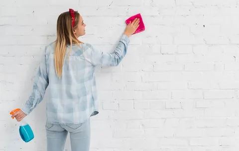 Clean the Walls